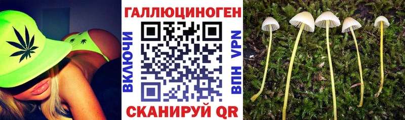Галлюциногенные грибы Magic Shrooms где найти наркотики kraken ONION Пролетарск